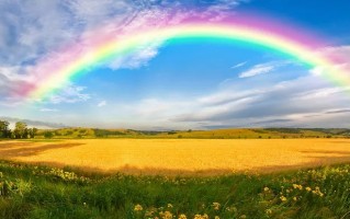 【代写作文】透过风雨见彩虹